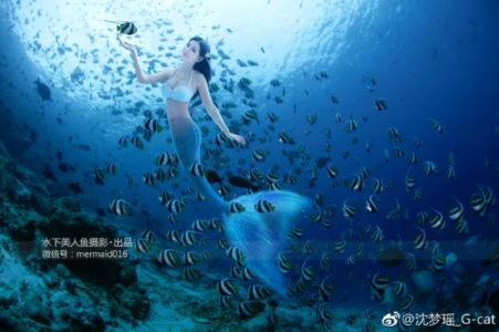 沈梦瑶  ［TGOD推女神］水下美人鱼写真迷失在蓝色海洋里